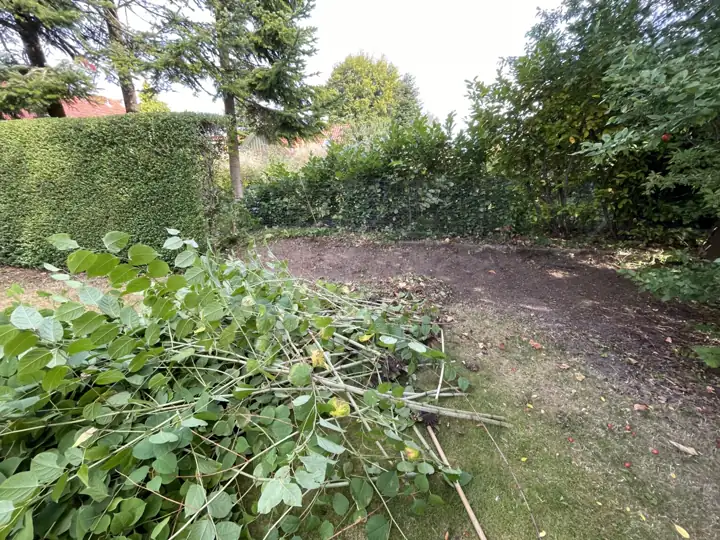 Krat ryddet i haven – afklippede grene klar til bortkørsel