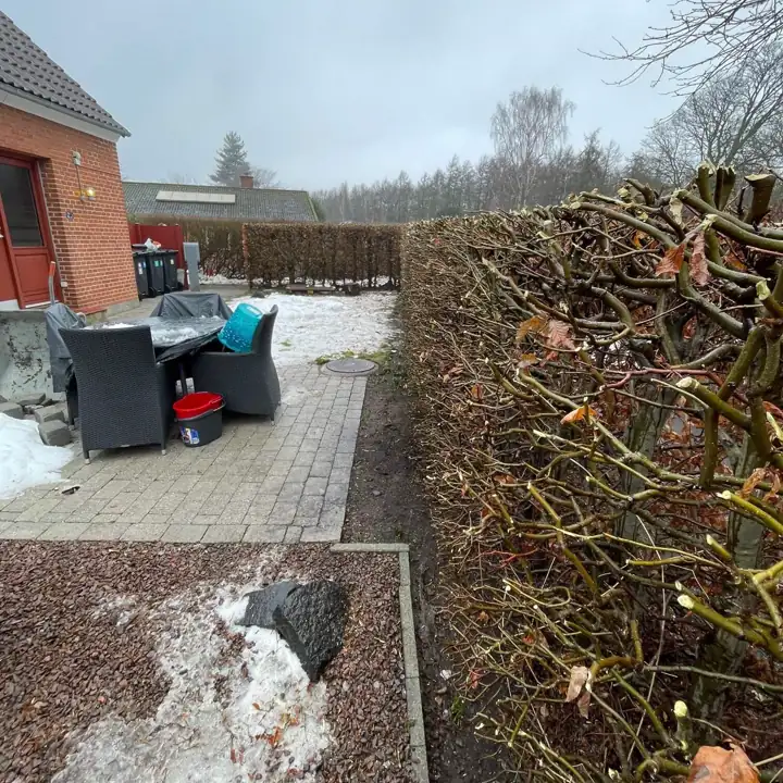 Hæk beskåret i vinterperioden ved en terrasse
